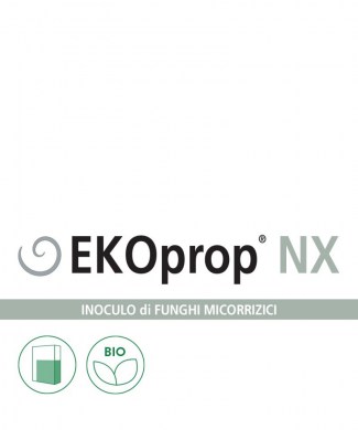 ekoprop-nxekoprop-nx (1)